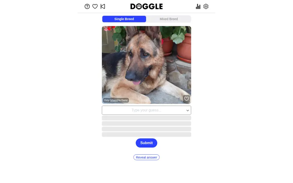 Screenshot of Doggle