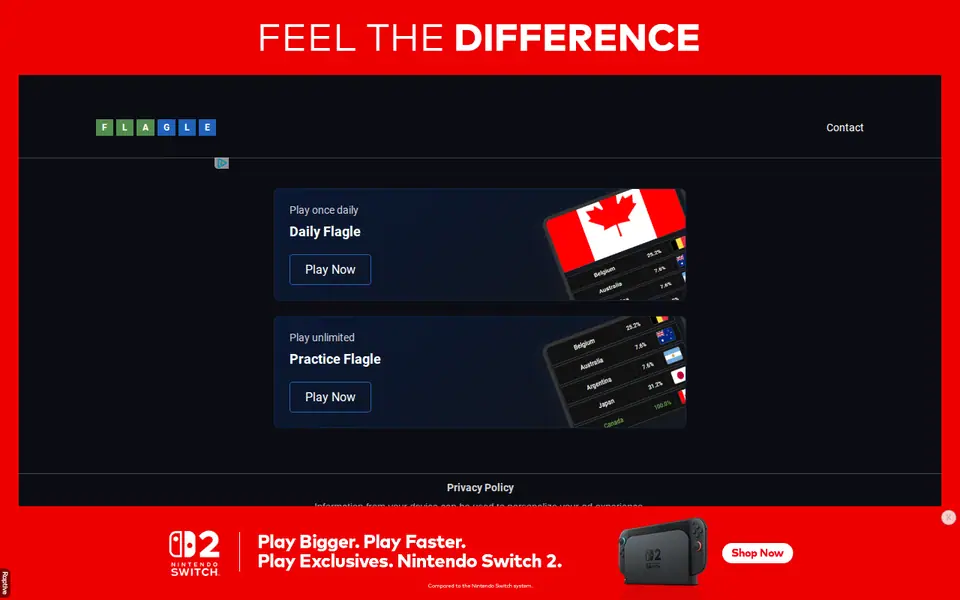 Screenshot of Flagle Game