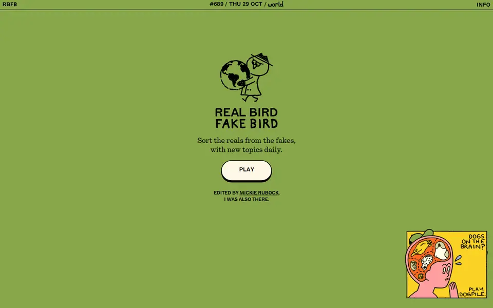 Screenshot of Real Bird Fake Bird